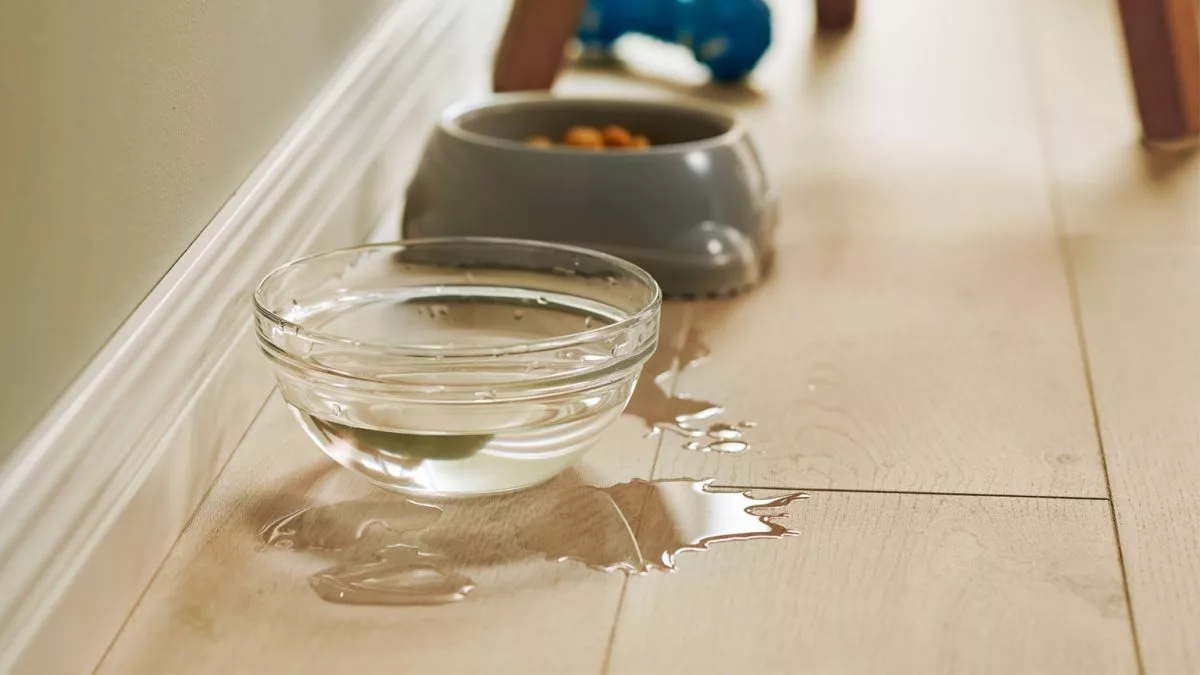 rocksolid QuickStep KitchenFloors Quick Step elegantes