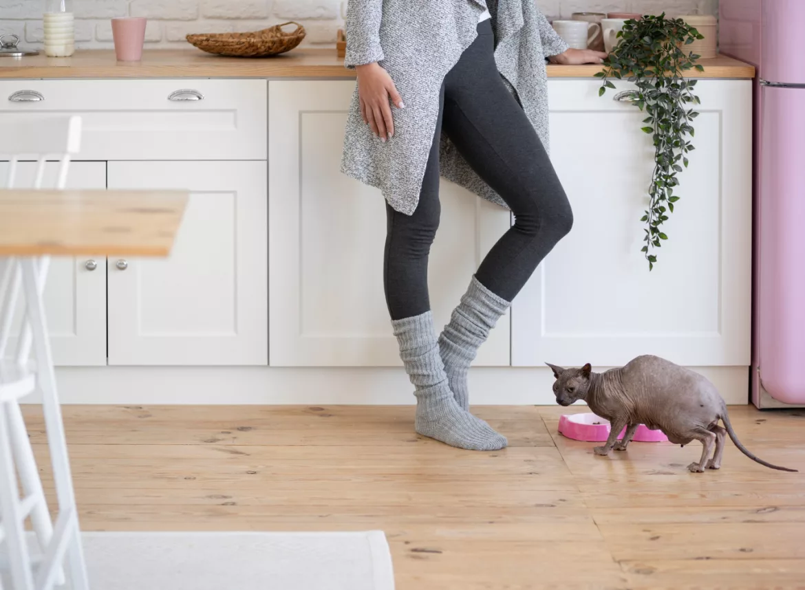 ¿Cuál es el mejor suelo vinílico para casas con mascotas?